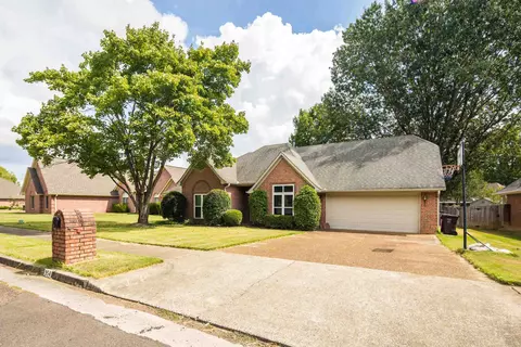 954 Wildbird Cv, Collierville, TN 38017