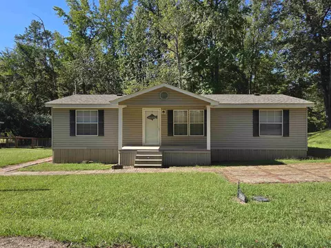 250 Christy Dr, Counce, TN 38326