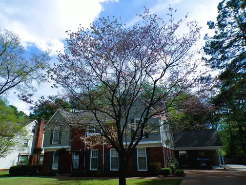 8325 Farmington Blvd, Germantown, TN 38139