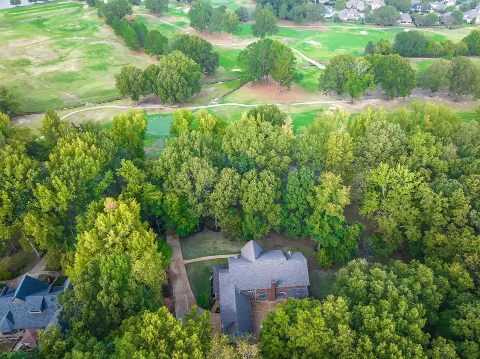 View/Area - 10179 Frank Rd, Collierville, TN 38017 photo 4 of 4
