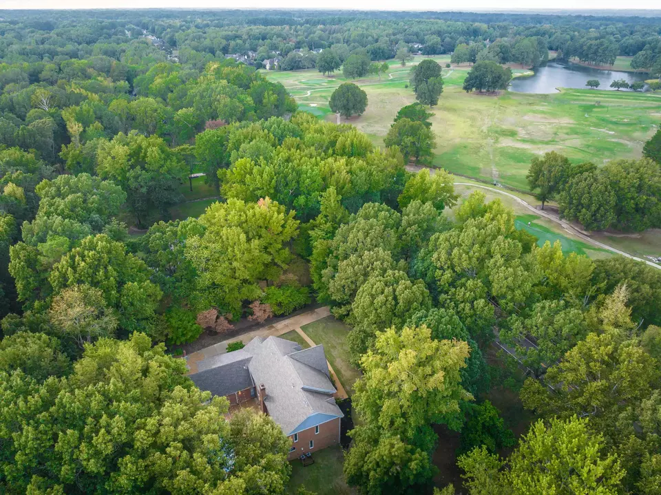 View/Area - 10179 Frank Rd, Collierville, TN 38017 photo 3 of 4