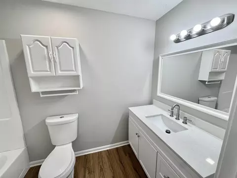Bath - 33 Bradmere Cv, Jackson, TN 38305 photo 4 of 6