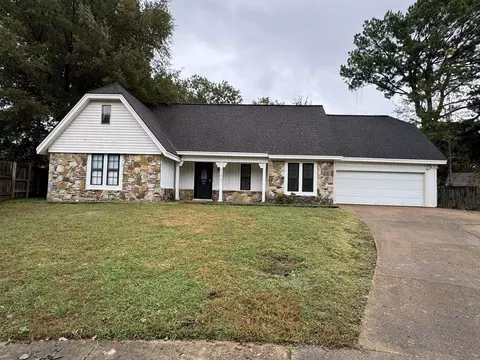 6164 Shadowfall Cv, Memphis, TN 38141