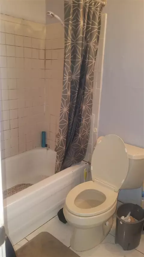 5647 Maple Tree Dr, Memphis, TN 38115 photo 8