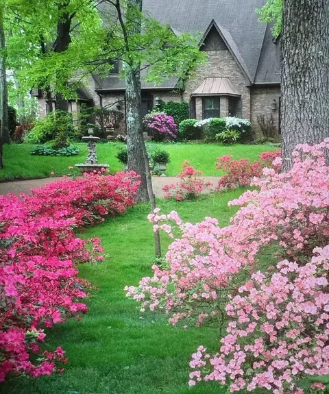8181 Meadow Glen Dr, Germantown, TN 38138
