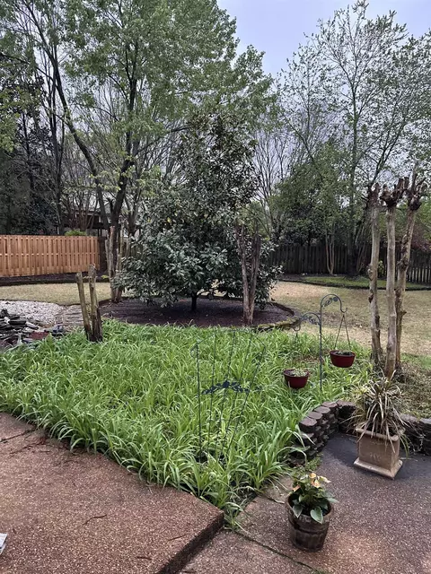 2381 Logwood Briar Cv N, Collierville, TN 38017