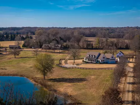6085 Yum Yum Rd, Somerville, TN 38068