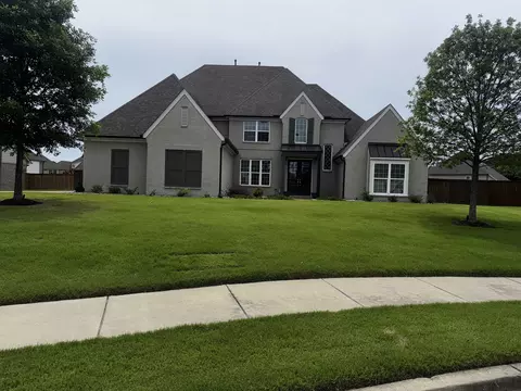 535 Tender Oaks Cv, Collierville, TN 38017