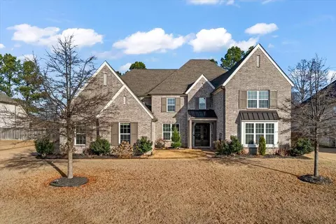 524 Tender Oaks Cv, Collierville, TN 38017