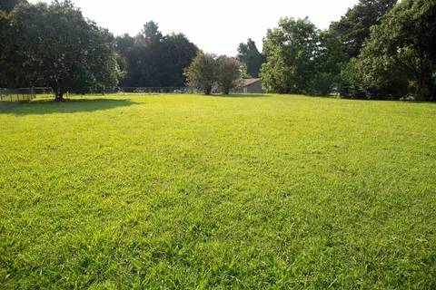 Exterior - 597 Walton Loop, Covington, TN 38019 photo 7 of 8