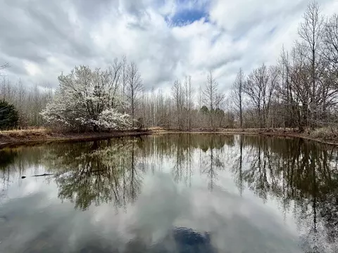 9870 Moose Rd, Millington, TN 38053