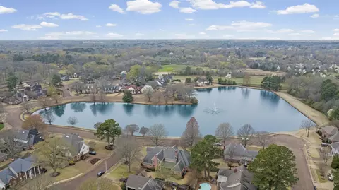 View/Area - 1186 Lake Point Dr E, Collierville, TN 38017 photo 5 of 5