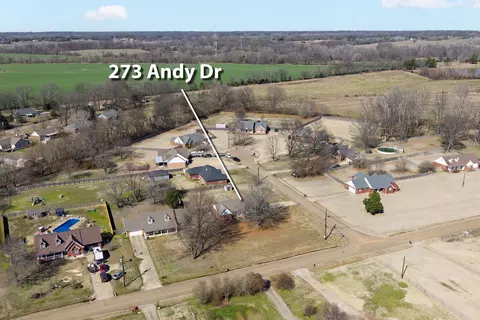 View/Area - 273 Andy Dr, Drummonds, TN 38023 photo 3 of 4