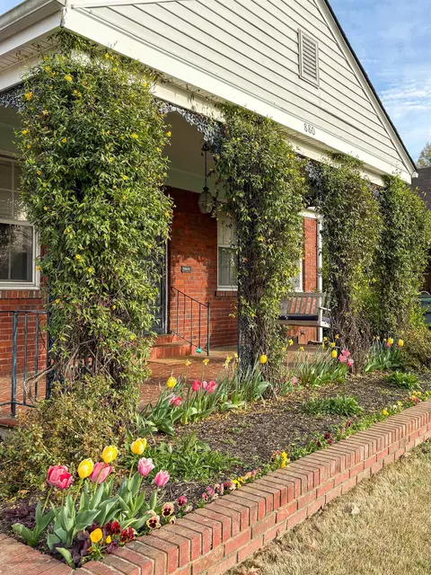 880 N Mclean Blvd, Memphis, TN 38107