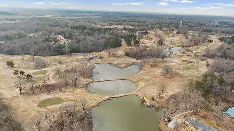 View/Area - 165 Devils Backbone Rd, Saltillo, MS 38866 photo 3 of 3