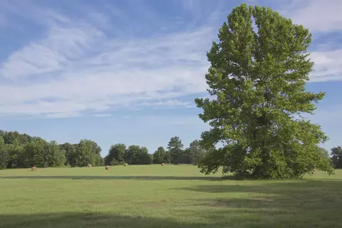 3490 Yager Rd, Moscow, TN 38057