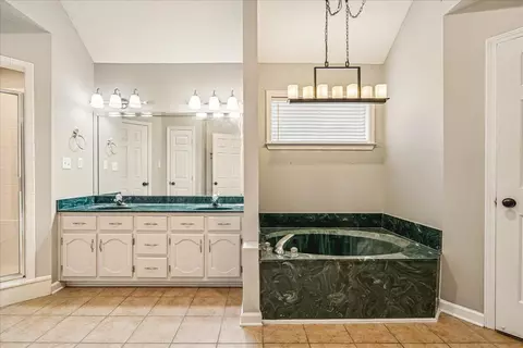 Bath - 4706 Shadow Wick Ln, Arlington, TN 38002 photo 1 of 3