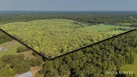 2395 Pocahontas Rd, Pocahontas, TN 38061