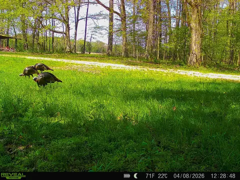 Other - 280 Fields Rd, Dukedom, TN 38226 photo 10 of 10