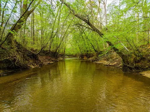 View/Area - 280 Fields Rd, Dukedom, TN 38226 photo 4 of 9