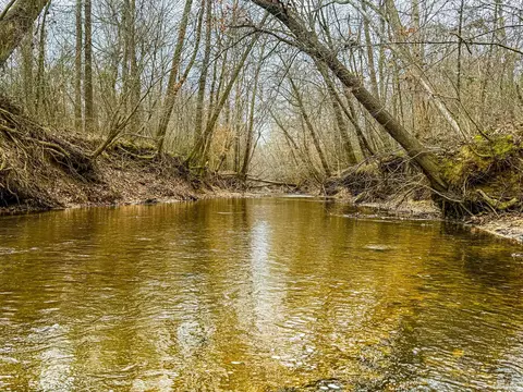 View/Area - 280 Fields Rd, Dukedom, TN 38226 photo 6 of 9