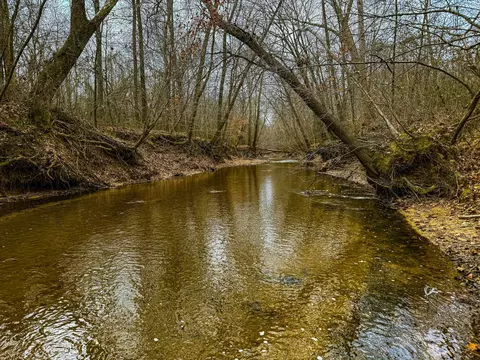 View/Area - 280 Fields Rd, Dukedom, TN 38226 photo 7 of 9