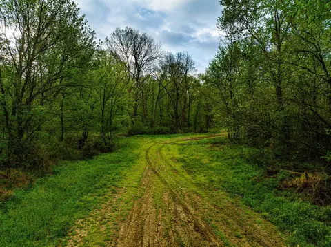 Other - 280 Fields Rd, Dukedom, TN 38226 photo 3 of 10