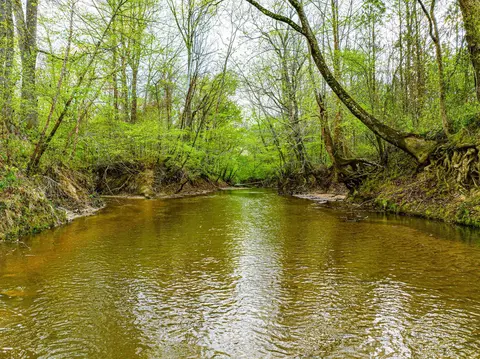 View/Area - 280 Fields Rd, Dukedom, TN 38226 photo 5 of 9