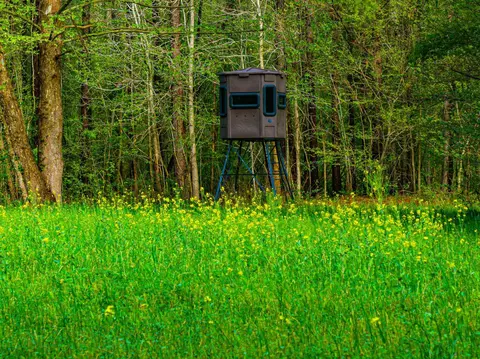 Other - 280 Fields Rd, Dukedom, TN 38226 photo 8 of 10