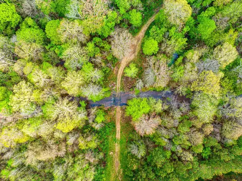 View/Area - 280 Fields Rd, Dukedom, TN 38226 photo 9 of 9