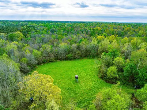 Other - 280 Fields Rd, Dukedom, TN 38226 photo 4 of 10