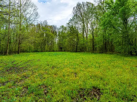Other - 280 Fields Rd, Dukedom, TN 38226 photo 2 of 10