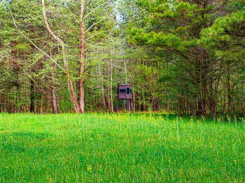Exterior - 280 Fields Rd, Dukedom, TN 38226 photo 4 of 8