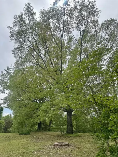 7472 Alphaba St, Coldwater, MS 38618 photo 21