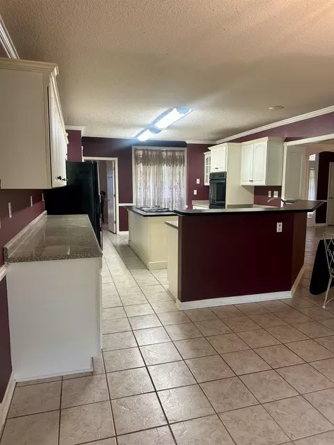 7472 Alphaba St, Coldwater, MS 38618 photo 4