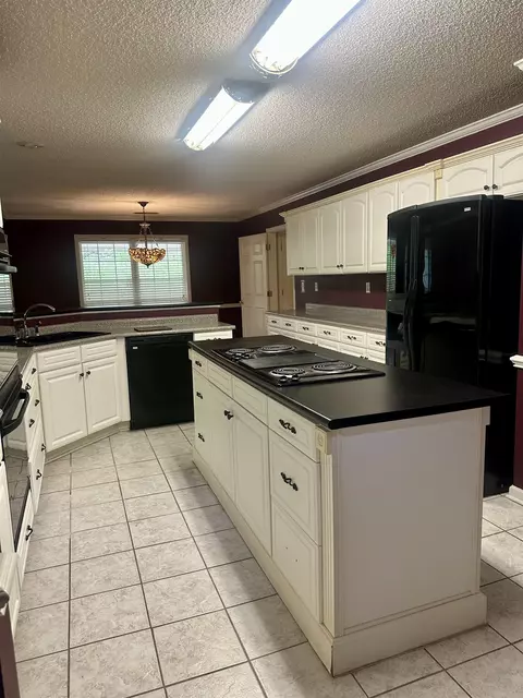 7472 Alphaba St, Coldwater, MS 38618 photo 3