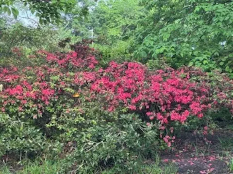 232 S Highland St #803, Memphis, TN 38111