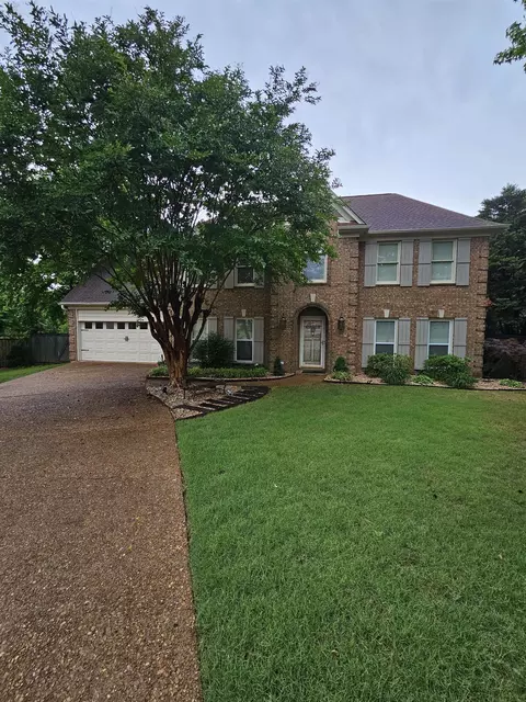1593 Wininger Cv, Cordova, TN 38016