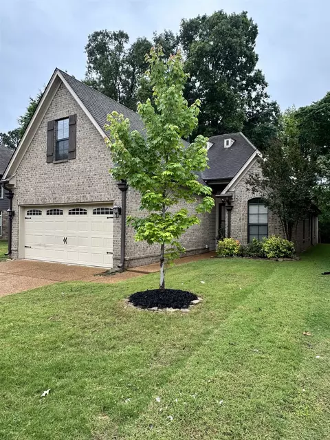 7303 Winterbrook Ln, Cordova, TN 38018