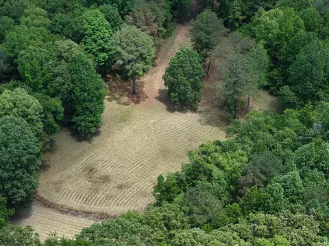 View/Area - 3360 Ebenezer Rd, Toone, TN 38381 photo 1 of 4