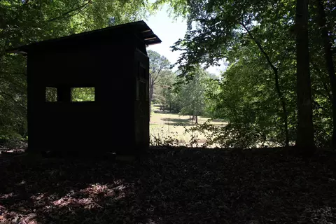 Other - 3360 Ebenezer Rd, Toone, TN 38381 photo 5 of 14