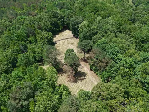 View/Area - 3360 Ebenezer Rd, Toone, TN 38381 photo 3 of 4