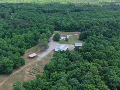 View/Area - 3360 Ebenezer Rd, Toone, TN 38381 photo 4 of 4