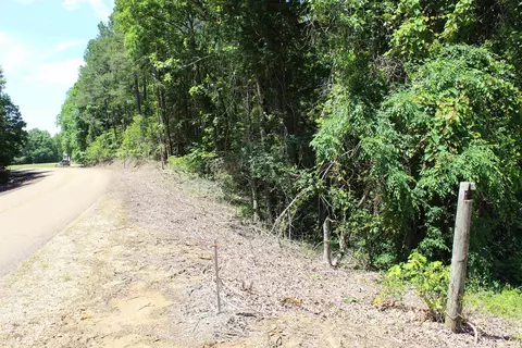 Other - 3360 Ebenezer Rd, Toone, TN 38381 photo 4 of 14