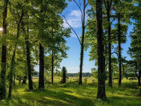 Exterior - 565 Schaeffer Loop, Eads, TN 38028 photo 10 of 11