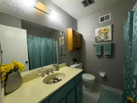 Bath - 5773 Rensslaer Dr, Bartlett, TN 38135 photo 3 of 3