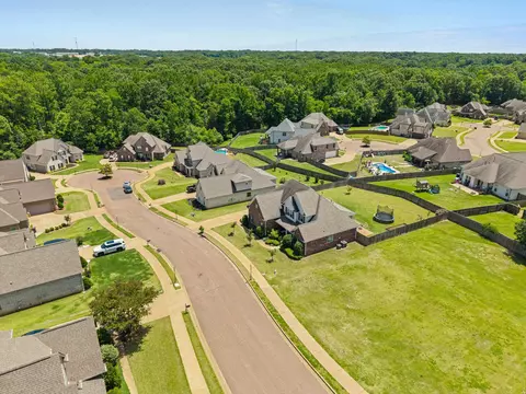 569 Walkers Way, Hernando, MS 38632 photo 8