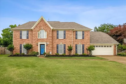 1736 Swansea Cv, Cordova, TN 38016