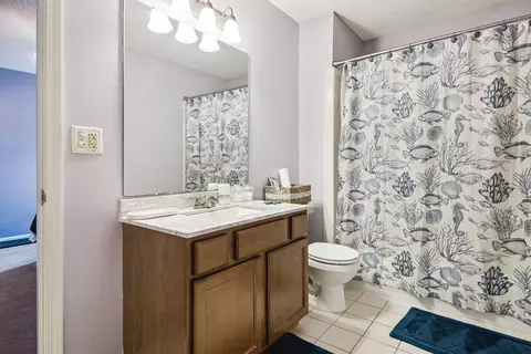 Bath - 5032 Will Fall Rd, Arlington, TN 38002 photo 3 of 4