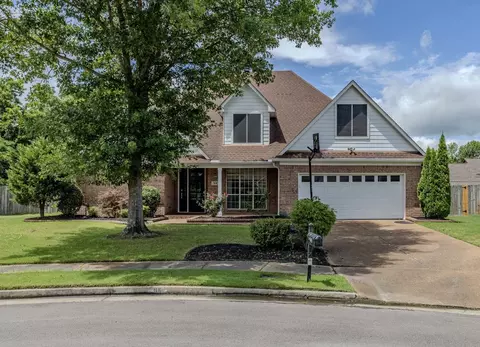 96 Berryfield Cv, Collierville, TN 38017